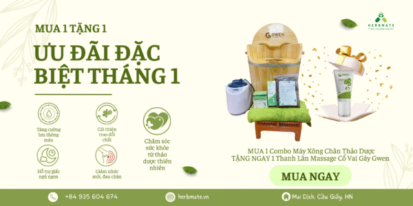 [TANG THANH LAN] Máy Xông Chân Thảo Dược Gwen – Thư Giãn, Cải Thiện Tuần Hoàn, Hỗ Trợ Giấc Ngủ