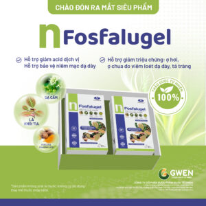 Dạ Dày N Fosfalugel Gwen Hộp 18 Gói – Hỗ Trợ Giảm Acid Dịch Vị, Bảo Vệ Niêm Mạc Dạ Dày