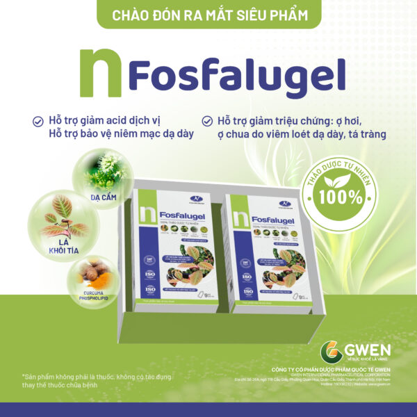 dạ dày n-fosfalugel
