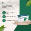Viên Uống Thải Độc Gan Gansthion Gwen – Hỗ Trợ Giải Độc, Bảo Vệ Gan