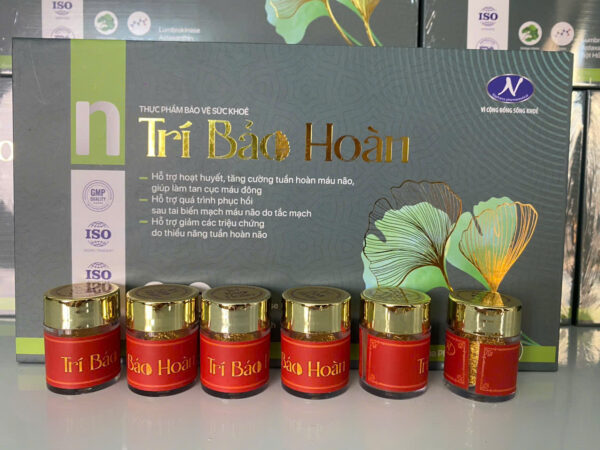 Trí Bảo Hoàn Gwen - Hỗ Trợ Tuần Hoàn Máu Não, Phòng Ngừa Cục Máu Đông