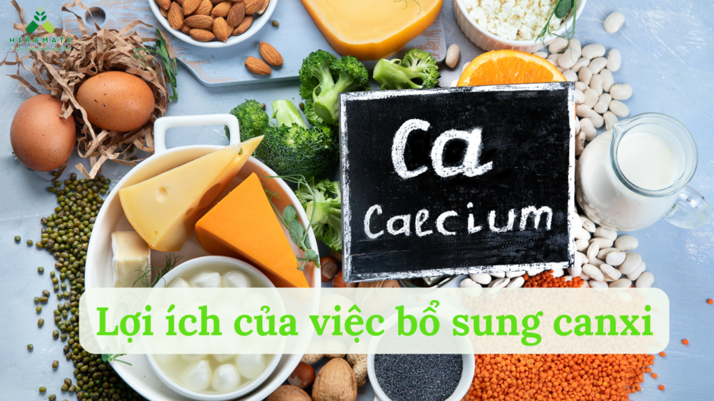 lợi ích của việc bổ sung canxi