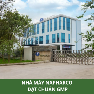 Nhà máy napharco đạt chuẩn GMP