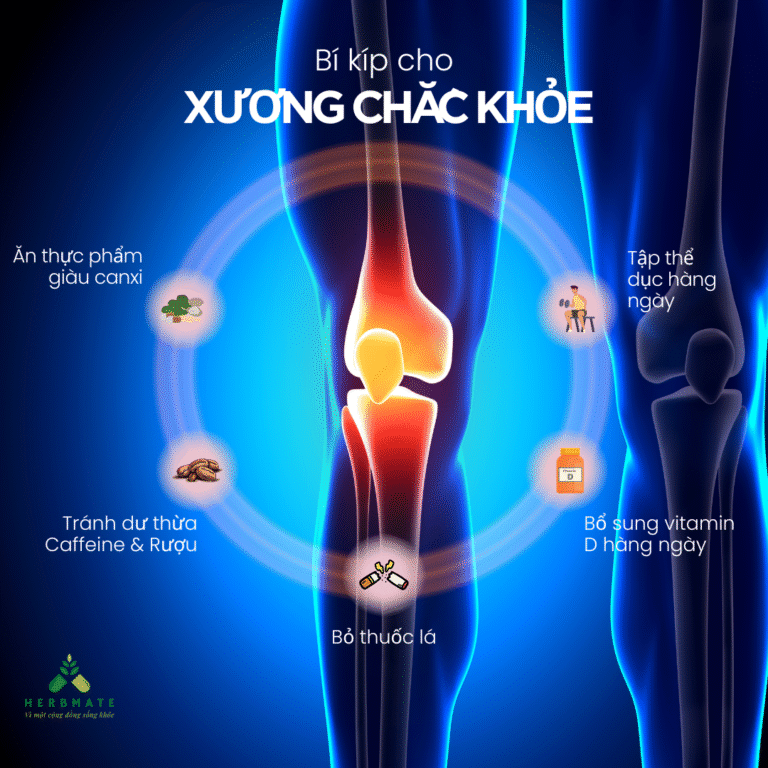 Bí khiép giúp xương chắc khỏe