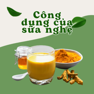 Công dụng của sữa nghệ