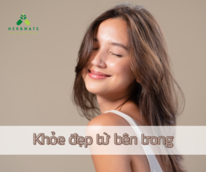 Khỏe đẹp từ bên trong cùng sữa nghệ