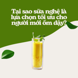 Tại sao sữa nghệ lại tốt cho người mới ốm dậy