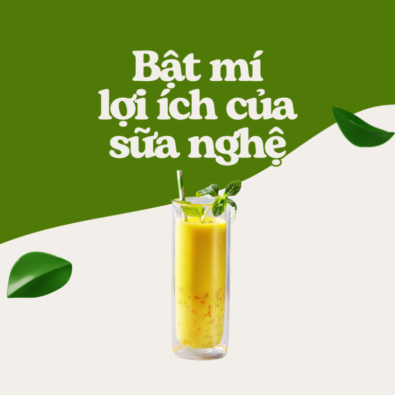 Bật mí lợi ích của sũa nghệ