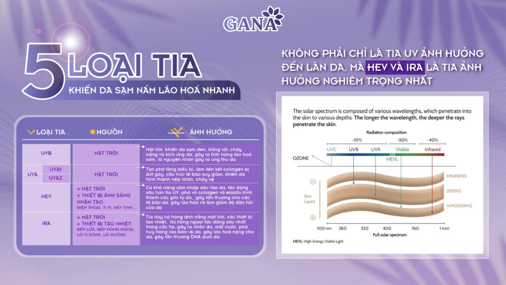2. các loại tia nắng ảnh hưởng đến làn da ntn
