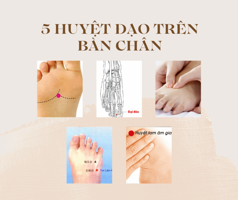 5 huyệt đạo trên bàn chân