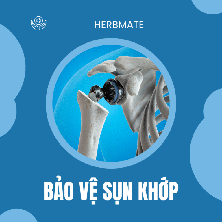 Bảo vệ sụn khớp