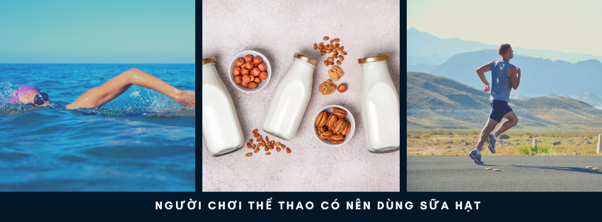 Người Chơi Thể Thao Có Nên Dùng Sữa Hạt