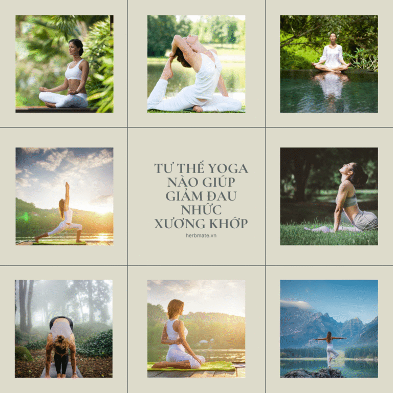 Tư thế yoga giúp giảm đau nhức xương khớp