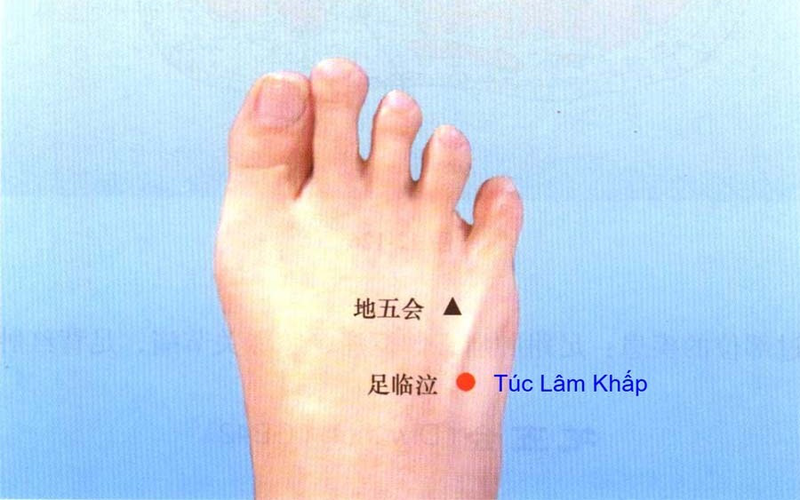 Huyệt túc lâm