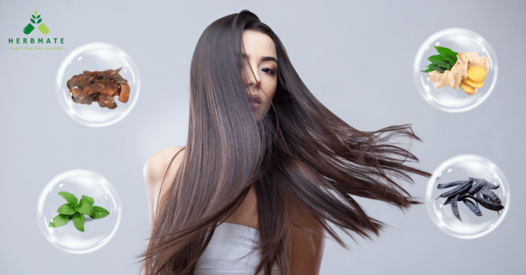 Thành phần thường thấy trong dầu gội hỗ trợ rụng tóc