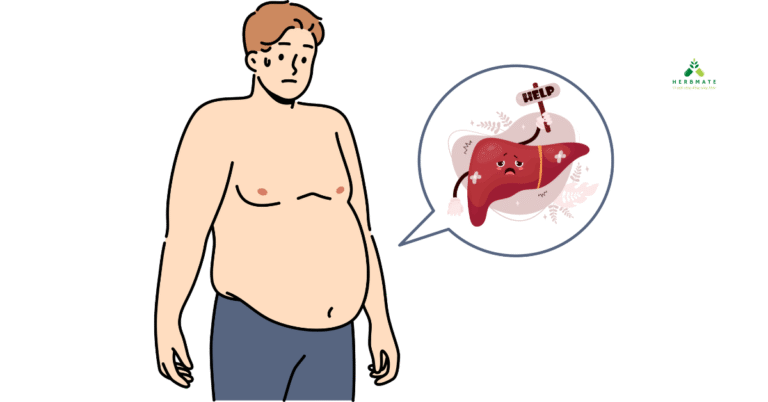 Dấu Hiệu Gan Đang Gặp Vấn Đề