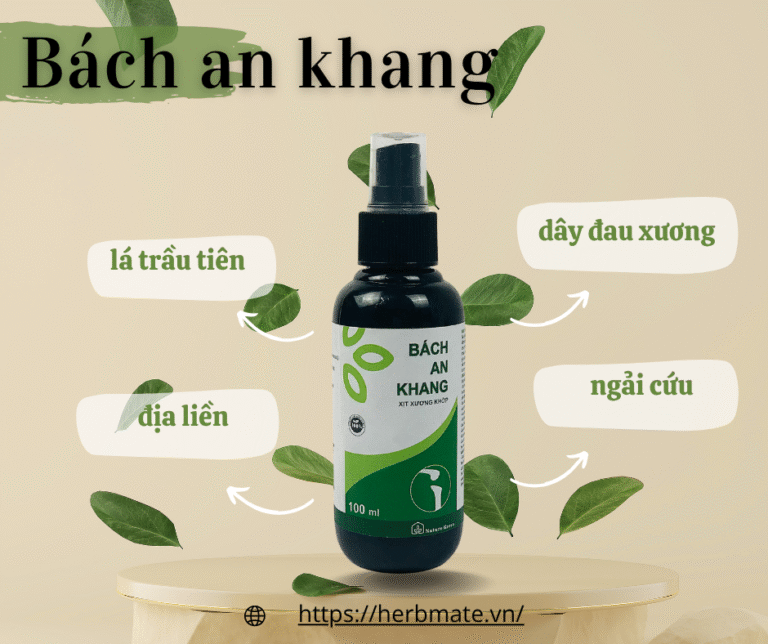 Thành phần quý trong bách an khang