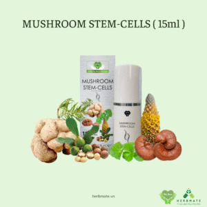 MUSHROOM STEM-CELLS ( 15ml )
