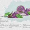 Mặt Nạ Tía Tô Hữu Cơ Mẹ Ken – Dưỡng Da Mịn Màng, Tươi Tắn Tự Nhiên