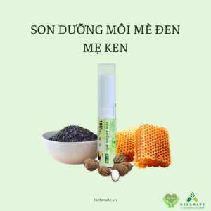 SON DƯỠNG MÔI MÈ ĐEN MẸ KEN