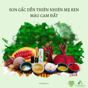 SON GẤC DỀN THIÊN NHIÊN MẸ KEN - MÀU CAM ĐẤT