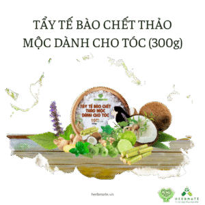 TẨY TẾ BÀO CHẾT THẢO MỘC DÀNH CHO TÓC (300g)