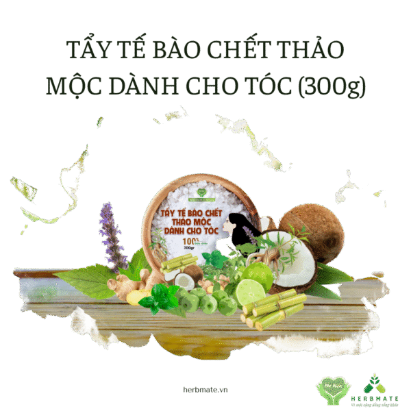 TẨY TẾ BÀO CHẾT THẢO MỘC DÀNH CHO TÓC (300g)