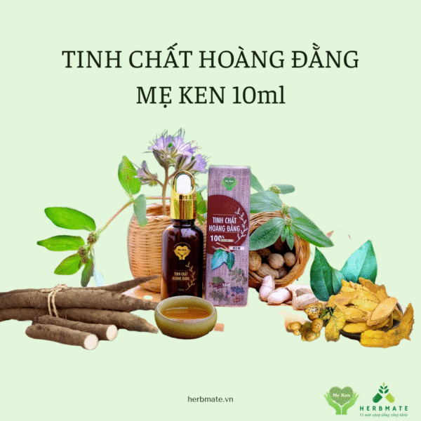TINH CHẤT HOÀNG ĐẰNG MẸ KEN 10ml