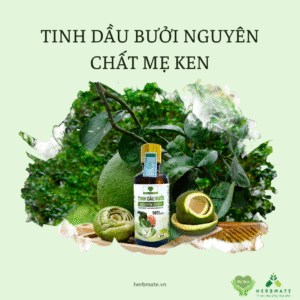 TINH DẦU BƯỞI NGUYÊN CHẤT MẸ KEN