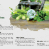 catalog cao khổ qua diếp cá mẹ ken