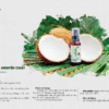 catalog dầu bơ nguyên chất mẹ ken (1)