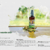 catalog dầu ô lưu mẹ ken