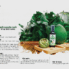 catalog tinh dầu bưởi mẹ ken