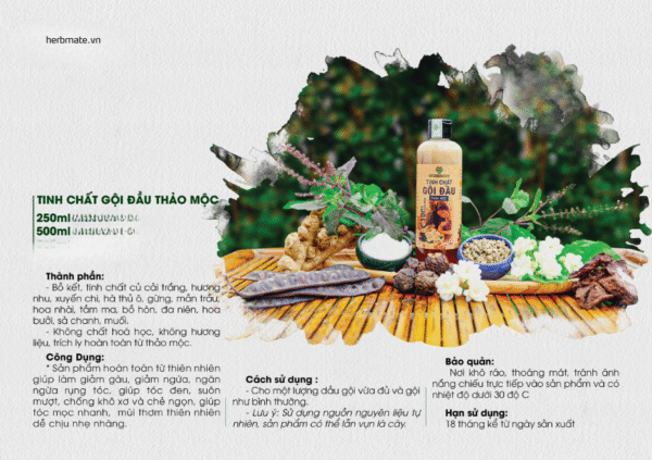catalog tinh chất gội đầu thảo mộc mẹ ken