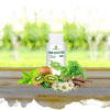 KIWI BOOSTER 100ml