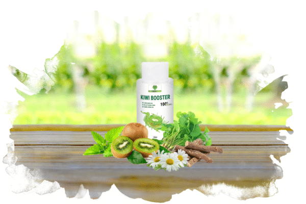 KIWI BOOSTER 100ml