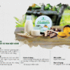 catalog mặt nạ deo sữa bò và tinh bột nghệ