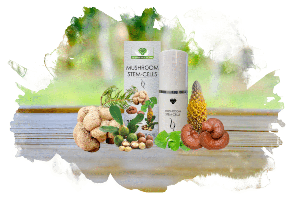 MUSHROOM STEM-CELLS ( 15ml )
