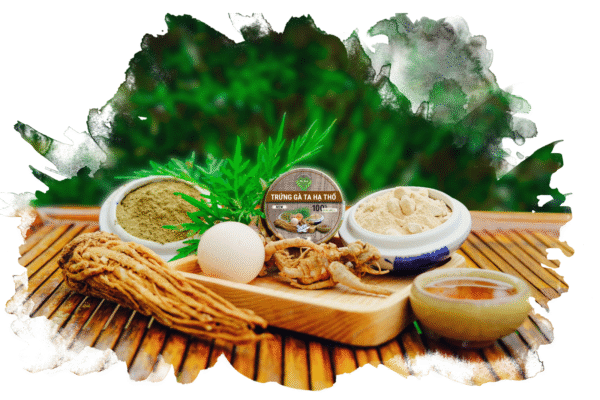 TRỨNG GÀ TA HẠ THỔ MẸ KEN (100ml)