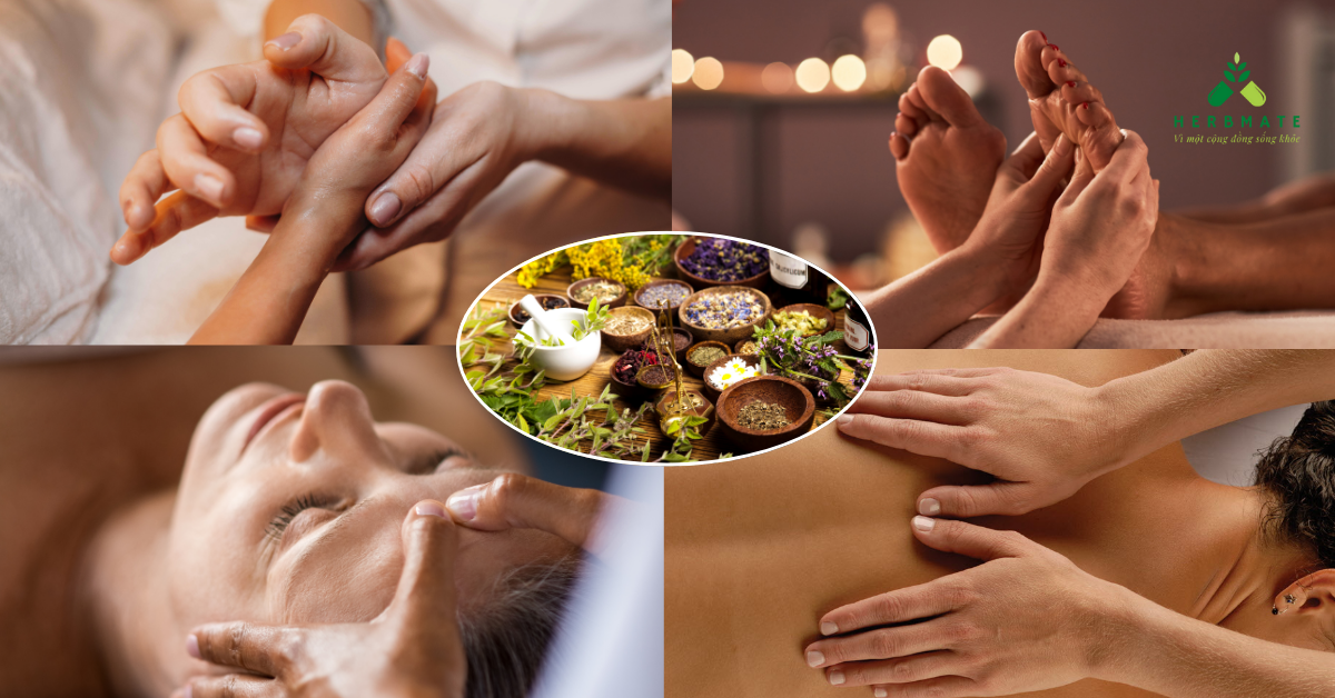 Massage tại nhà bằng thảo dược