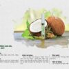 catalog chuốt dưỡng làm dài dày mi