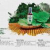 catalog tinh chất mồng tơi mẹ ken