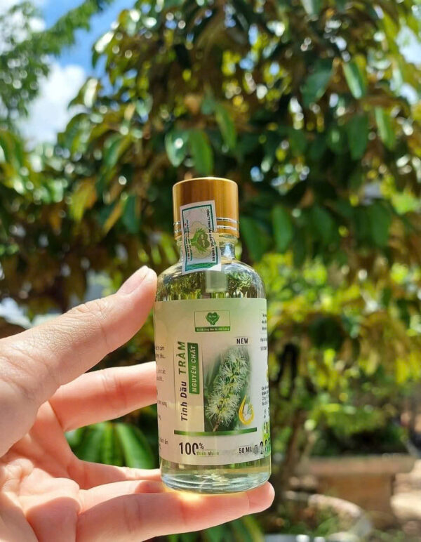 Tinh Dầu Tràm Nguyên Chất Mẹ Ken 50ml - Giữ Ấm, Hỗ Trợ Điều Trị Cảm Ho, An Toàn Cho Bé Sơ Sinh
