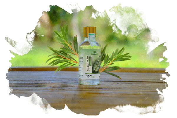 Tinh Dầu Tràm Nguyên Chất Mẹ Ken 50ml - Giữ Ấm, Hỗ Trợ Điều Trị Cảm Ho, An Toàn Cho Bé Sơ Sinh