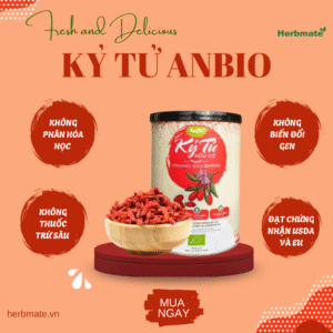 Kỷ tử hộp Kỷ Tử Hữu Cơ Anbio - Hộp 200g - "Trái Cây Thiên Đường" Cho Sức Khỏe Vàng
