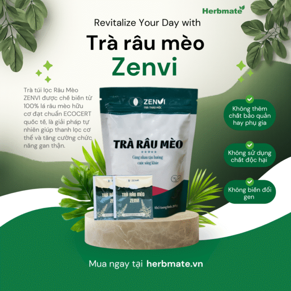 Trà Zenvi đăng Web (1) Trà Râu Mèo Túi Lọc Zenvi - Túi Zip 125g - "Vệ Sĩ" Thảo Mộc Cho Hệ Bài Tiết Khỏe Mạnh