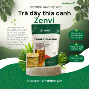 Trà Dây Thìa Canh Túi Lọc Zenvi - Túi Zip 125g - Giải Pháp Ổn Định Đường Huyết Từ Thiên Nhiên