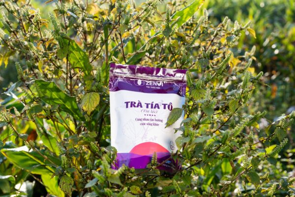 trà tía tô 4 Trà Tía Tô Túi Lọc Zenvi - Túi Zip 125g - Tinh hoa thảo dược giúp làm ấm cơ thể, hỗ trợ hô hấp và tiêu hóa