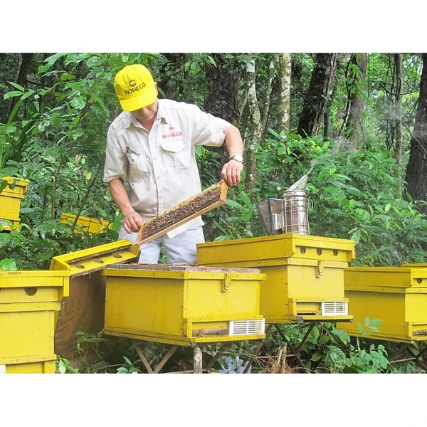 Mật Ong Hoa Rừng - Lọ 500g – Tinh Túy Mùa Hè Từ Núi Rừng Phía Bắc