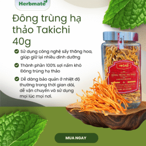 Đông Trùng Hạ Thảo Takichi - Hộp 40g - Thượng Dược Bồi Bổ Sức Khỏe Toàn Diện